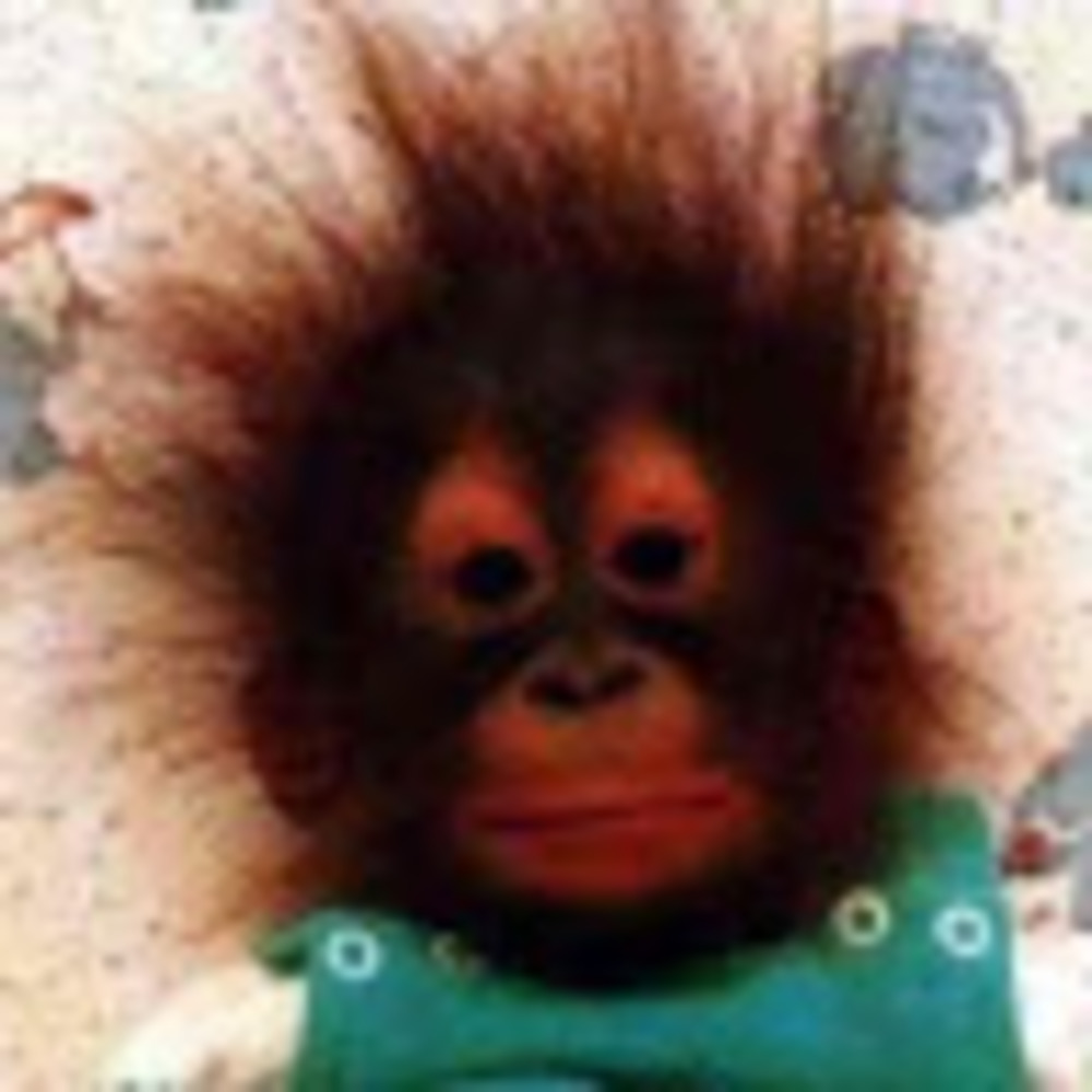 Meet your Posher, Sara